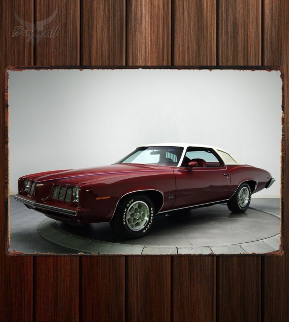 Металлическая табличка Pontiac Grand Am Сolonnade Hardtop Coupe (H37) Металлическая табличка Pontiac Grand Am Сolonnade Hardtop Coupe (H37)